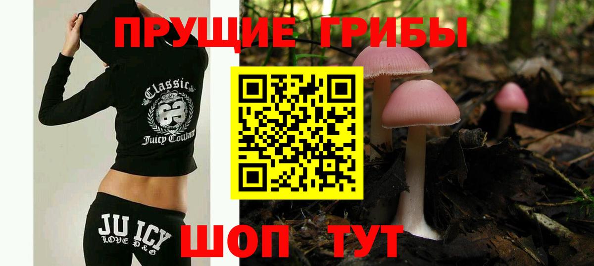 Вольск  Псилоцибиновые грибы прущие грибы  Псилоцибиновые грибы MAGIC MUSHROOMS  Вход с VPN 